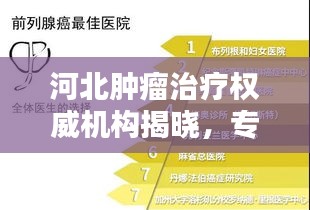 河北肿瘤治疗权威机构揭晓，专业排名前十的医疗机构榜单