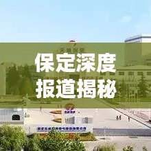 保定深度报道揭秘最新消息