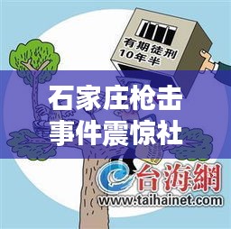 石家庄枪击事件震惊社会，引发广泛关注