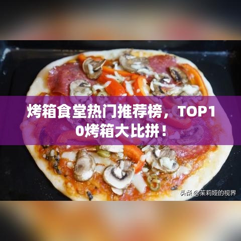 烤箱食堂热门推荐榜，TOP10烤箱大比拼！