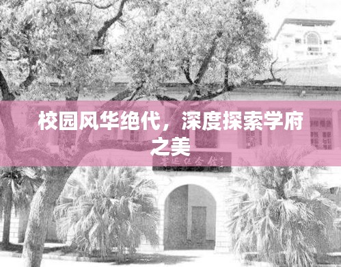 校园风华绝代，深度探索学府之美