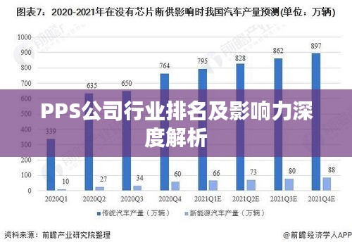 PPS公司行业排名及影响力深度解析