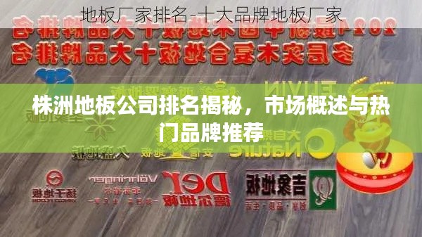 株洲地板公司排名揭秘，市场概述与热门品牌推荐