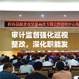 审计监督强化巡视整改，深化职能发挥，确保整改实效落地生根