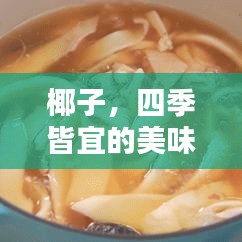 椰子，四季皆宜的美味享受