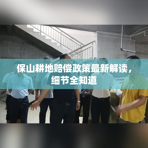 保山耕地赔偿政策最新解读，细节全知道