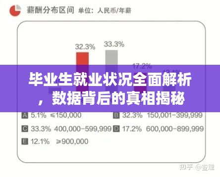 毕业生就业状况全面解析，数据背后的真相揭秘