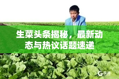 生菜头条揭秘，最新动态与热议话题速递