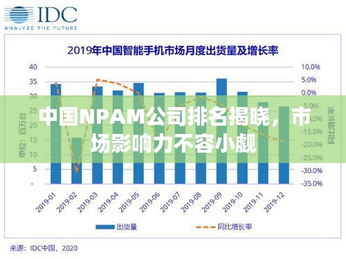 中国NPAM公司排名揭晓，市场影响力不容小觑