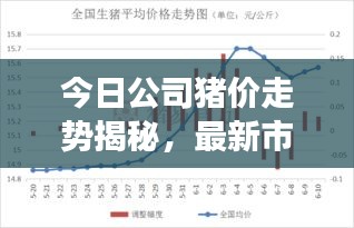 今日公司猪价走势揭秘，最新市场分析与趋势预测