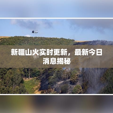 新疆山火实时更新，最新今日消息揭秘