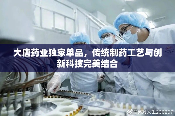 大唐药业独家单品，传统制药工艺与创新科技完美结合