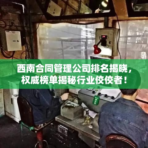 西南合同管理公司排名揭晓，权威榜单揭秘行业佼佼者！