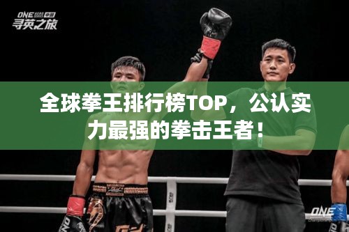 全球拳王排行榜TOP，公认实力最强的拳击王者！