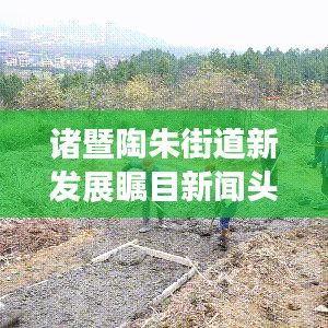 诸暨陶朱街道新发展瞩目新闻头条