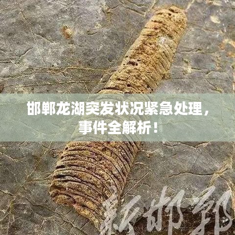 邯郸龙湖突发状况紧急处理，事件全解析！