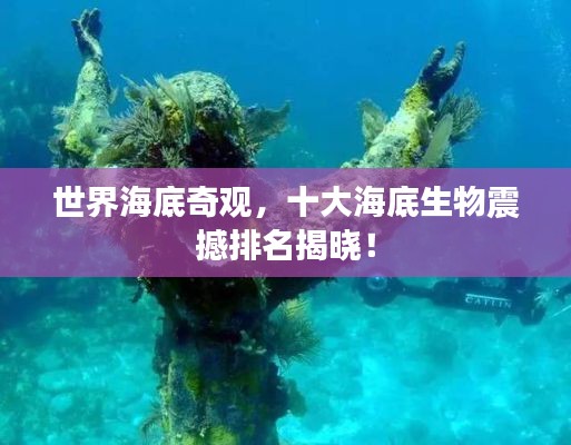 世界海底奇观，十大海底生物震撼排名揭晓！