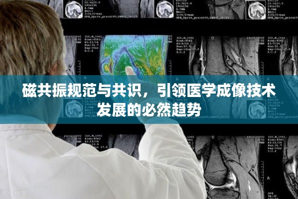 磁共振规范与共识，引领医学成像技术发展的必然趋势