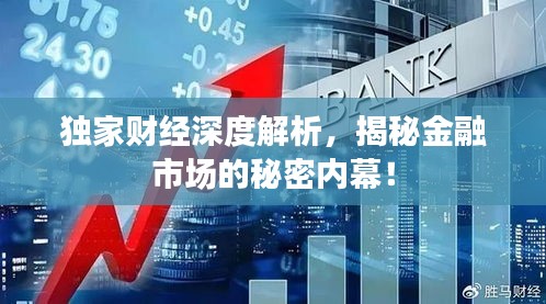 独家财经深度解析，揭秘金融市场的秘密内幕！