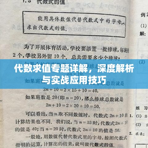 代数求值专题详解，深度解析与实战应用技巧