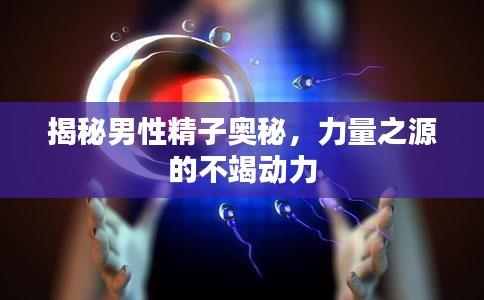 揭秘男性精子奥秘，力量之源的不竭动力