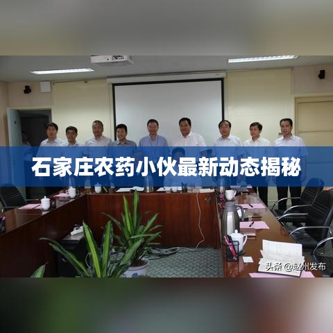 石家庄农药小伙最新动态揭秘