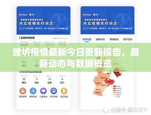 潍坊疫情最新今日更新报告，最新动态与数据概览