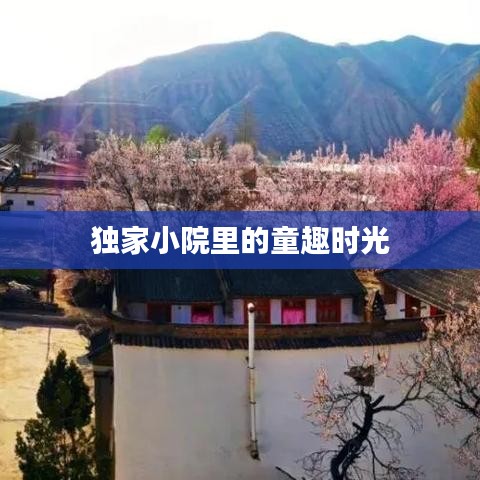 独家小院里的童趣时光
