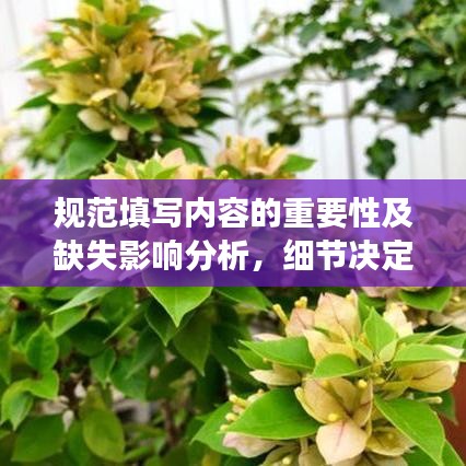 规范填写内容的重要性及缺失影响分析，细节决定成败！