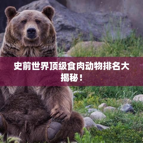 史前世界顶级食肉动物排名大揭秘！