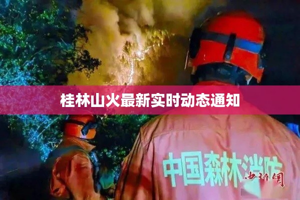 桂林山火最新实时动态通知