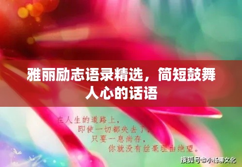 雅丽励志语录精选，简短鼓舞人心的话语