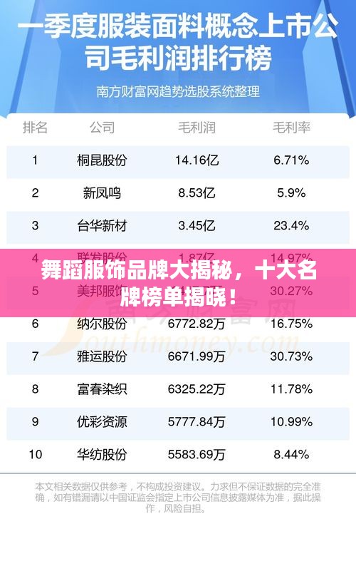 舞蹈服饰品牌大揭秘，十大名牌榜单揭晓！