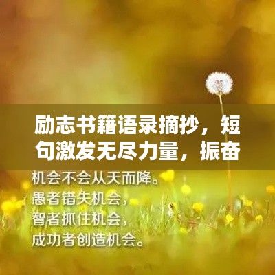 励志书籍语录摘抄，短句激发无尽力量，振奋心灵！