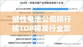 碱性电池公司排行榜TOP榜及行业影响力解析