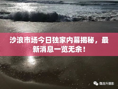 沙浪市场今日独家内幕揭秘，最新消息一览无余！