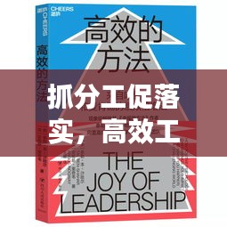 抓分工促落实，高效工作的秘诀所在