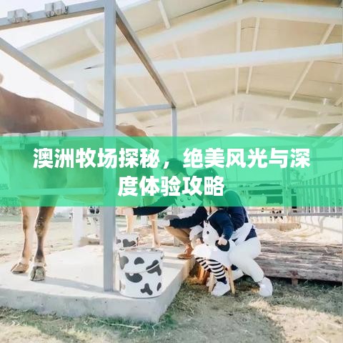 澳洲牧场探秘，绝美风光与深度体验攻略
