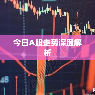 今日A股走势深度解析