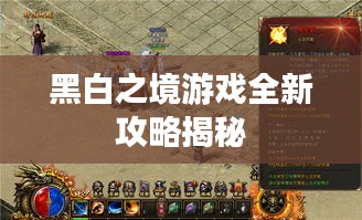 黑白之境游戏全新攻略揭秘