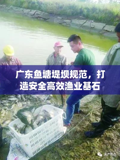 广东鱼塘堤坝规范，打造安全高效渔业基石
