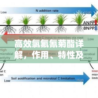 高效氯氟氰菊酯详解，作用、特性及应用领域
