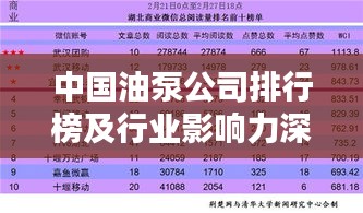 中国油泵公司排行榜及行业影响力深度解析