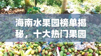 海南水果园榜单揭秘，十大热门果园推荐！