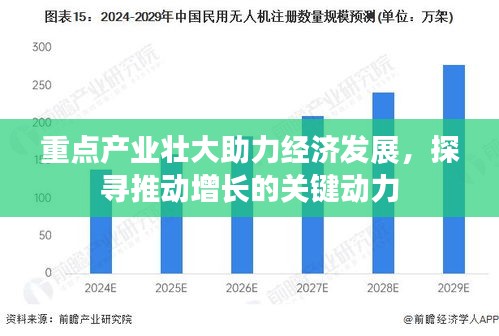重点产业壮大助力经济发展，探寻推动增长的关键动力