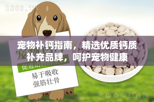 宠物补钙指南，精选优质钙质补充品牌，呵护宠物健康