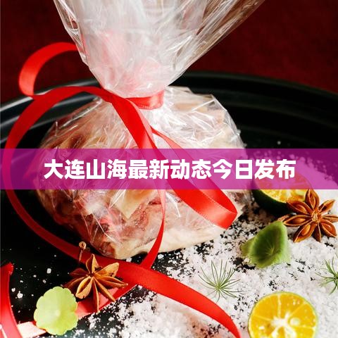 大连山海最新动态今日发布