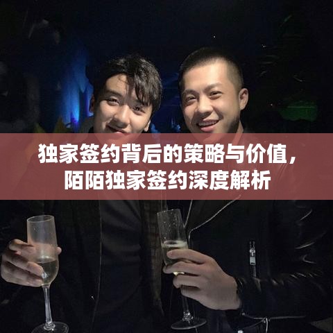 独家签约背后的策略与价值，陌陌独家签约深度解析