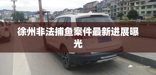 徐州非法捕鱼案件最新进展曝光