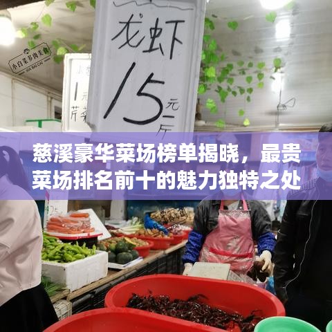 慈溪豪华菜场榜单揭晓，最贵菜场排名前十的魅力独特之处